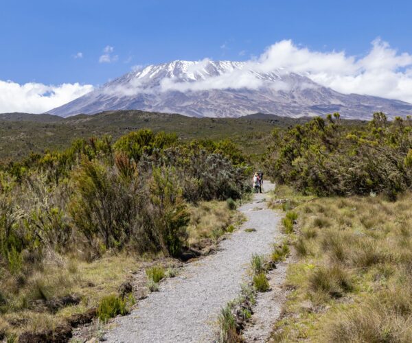 Kilimanjaro Climb.