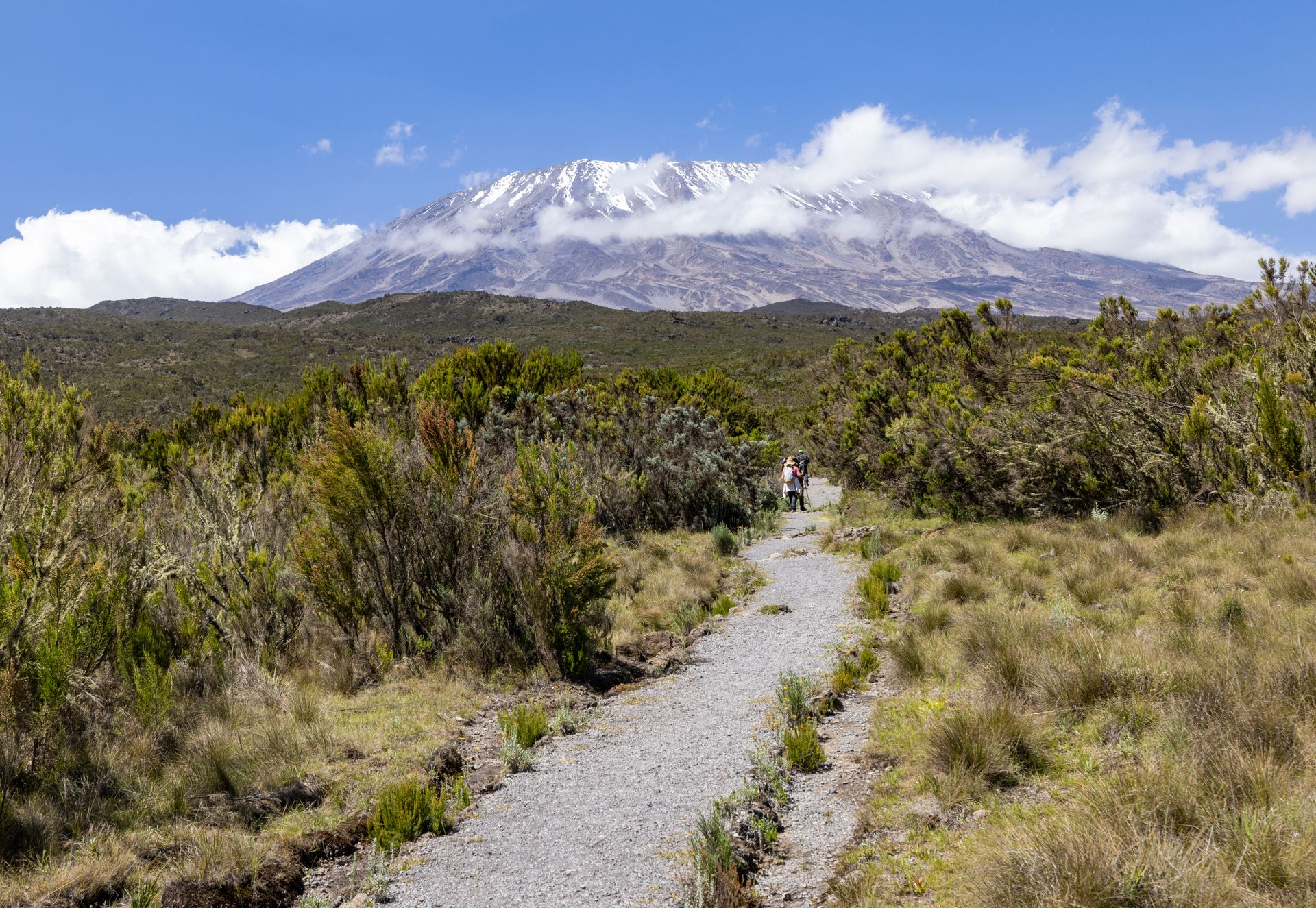 Kilimanjaro Climb Adventure