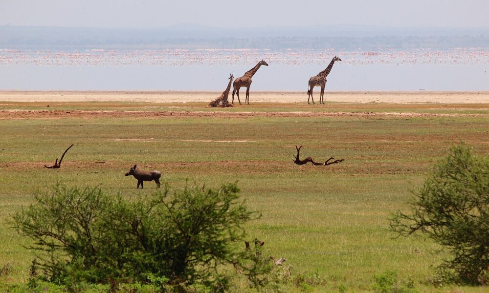 Lake Manyara