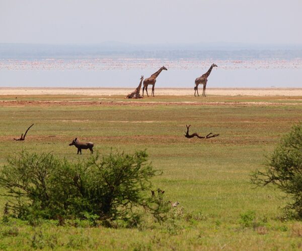 Lake Manyara