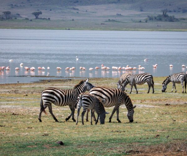 Lake Manyara.