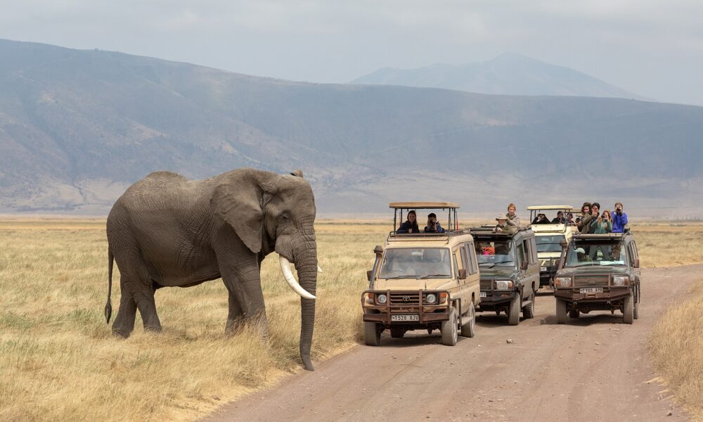 Ngorongoro Crater