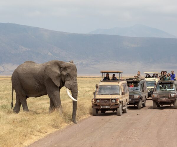 Ngorongoro Crater