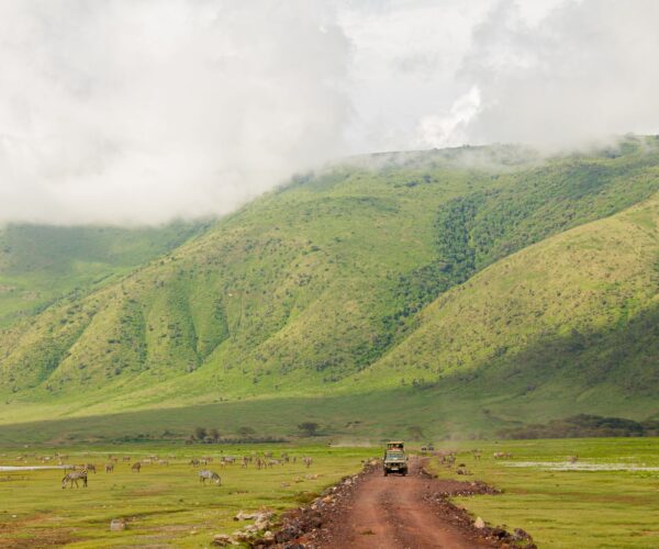 Ngorongoro Crater.