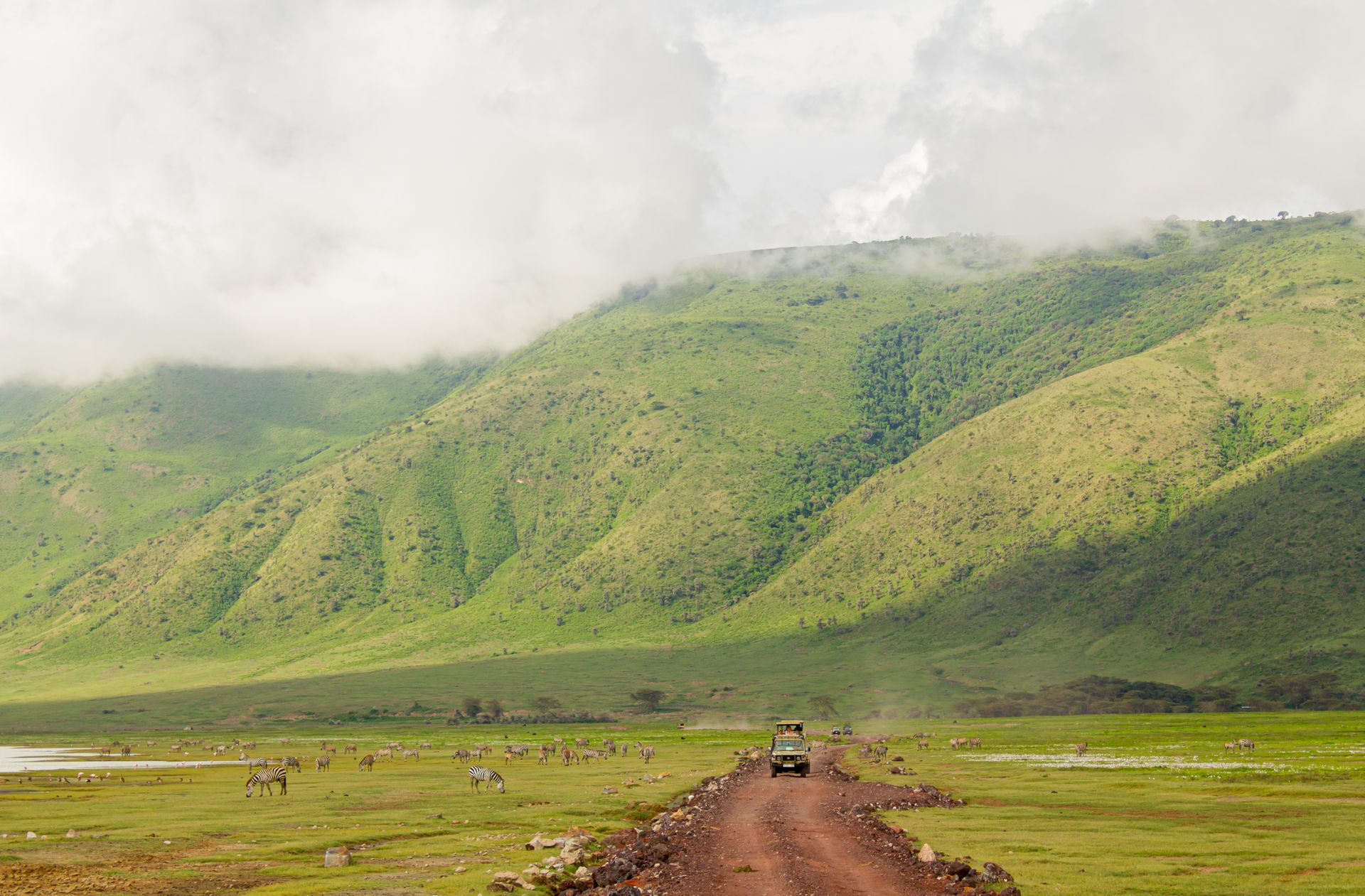 Ngorongoro Crater Safari