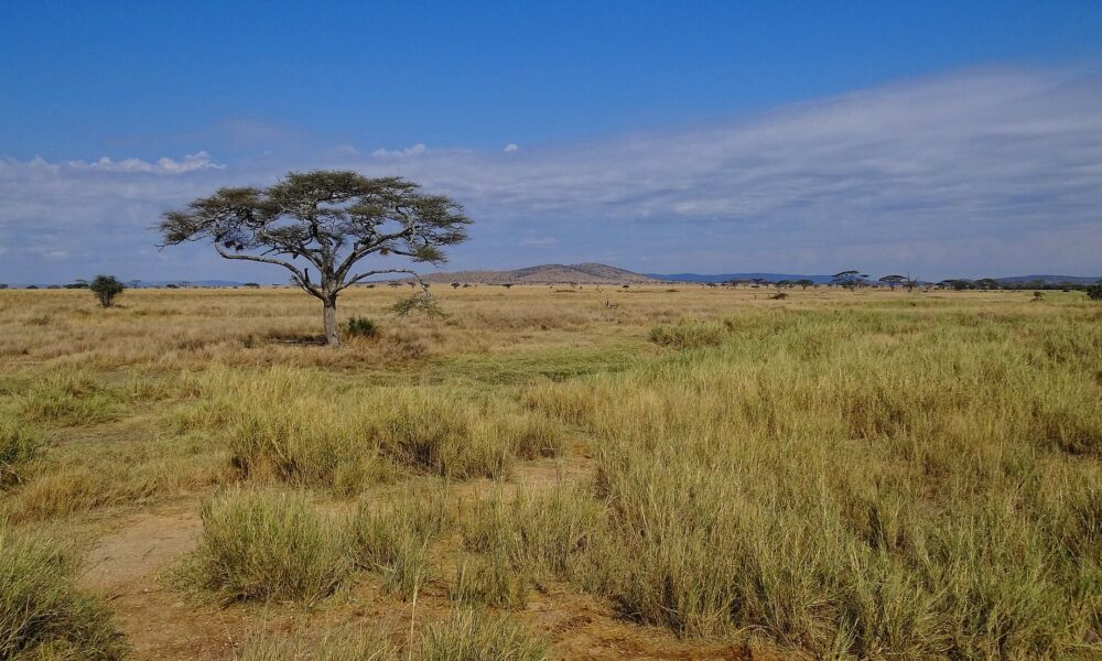 Serengeti National Park