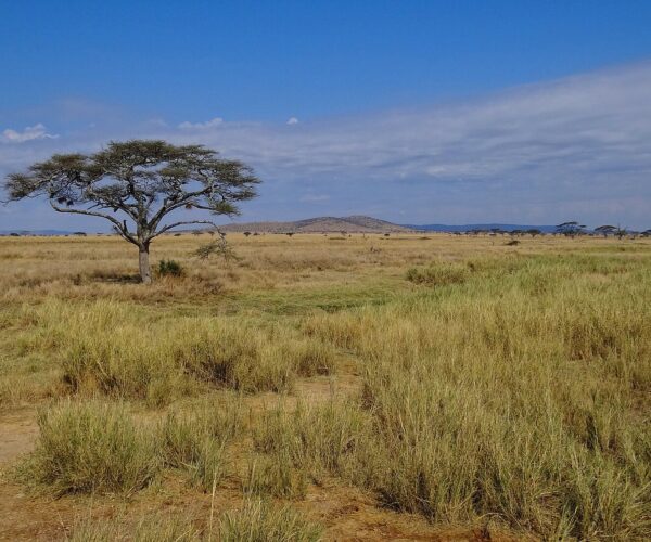 Serengeti National Park