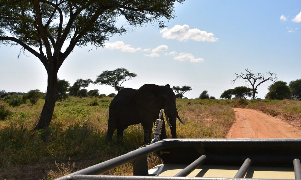 Tarangire National Park