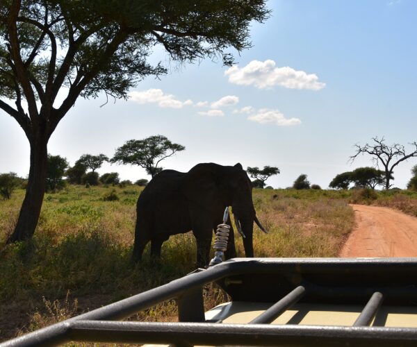 Tarangire National Park