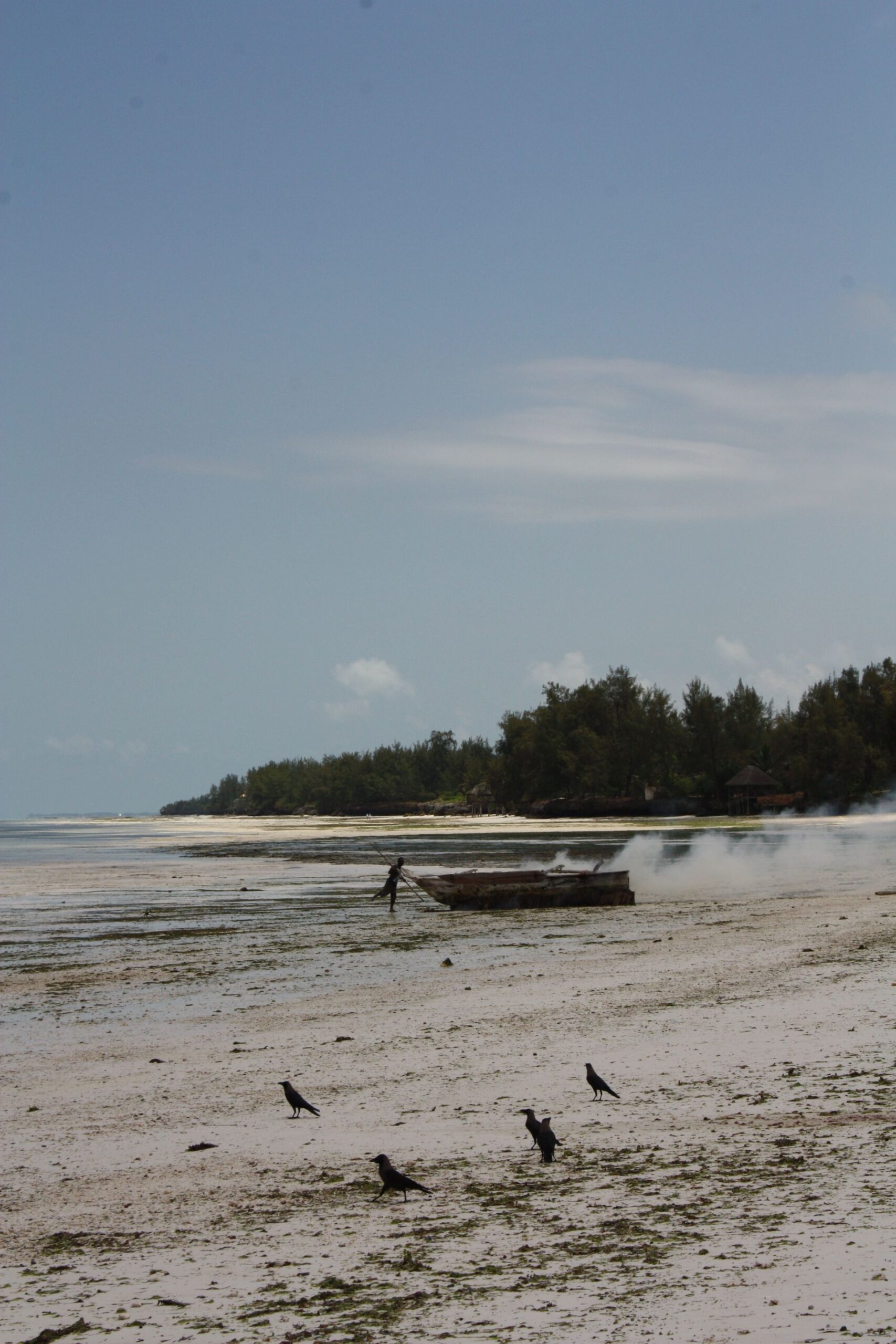 Zanzibar Beach Getaway